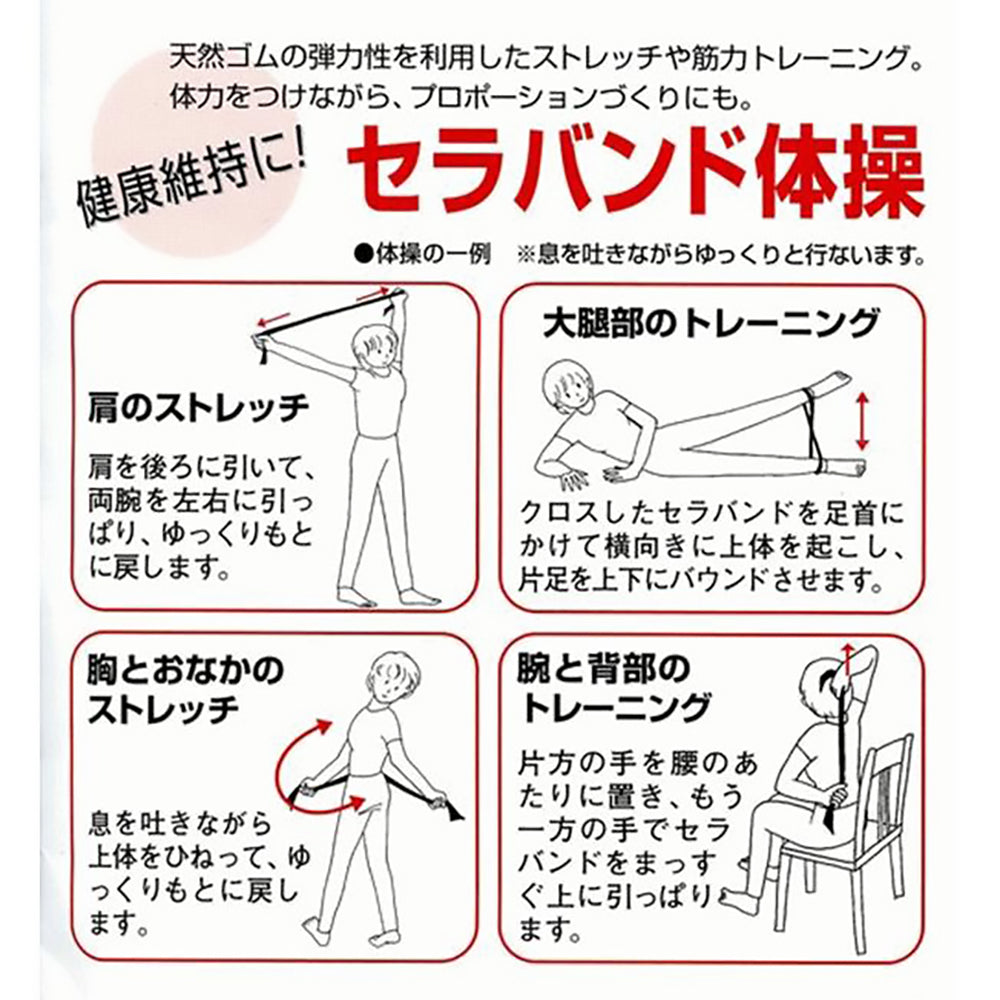 セラバンド ミニパック 筋力トレーニング